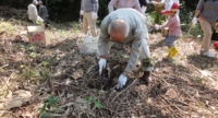 植樹活動