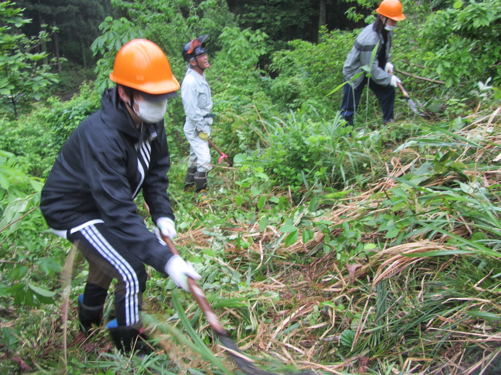 植樹地の里山整備