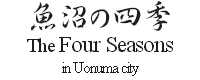 The four seasons in Uonuma city