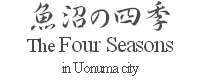 The four seasons in Uonuma city